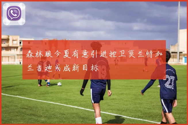 森林狼今夏有意引进控卫莫兰特加兰吉迪或成新目标